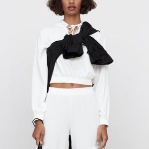 Zara Sheer Cropped Hoodie